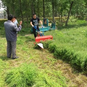 Self walking small cutter windrower