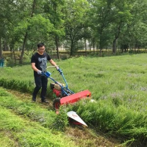 Self walking small cutter windrower