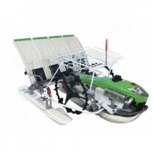 Hot Sale Walking Rice Transplanter