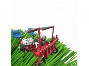 Vegetable Transplanter Potato Transplanter