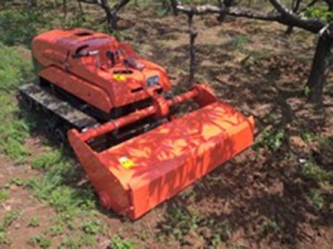 Agricultural Machinery 28hp Mini Crawler Tractor