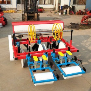 Two ridges and four lines from the fine screening seeder machine