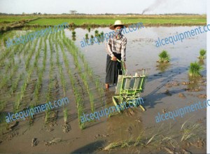 2Row Manual Rice Transplanter, Paddy Transplanter, Rice Paddy Sedling Machine