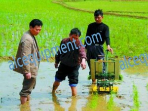 2Row Manual Rice Transplanter, Paddy Transplanter, Rice Paddy Sedling Machine