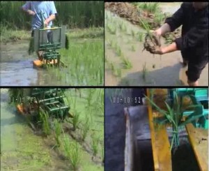 2Row Manual Rice Transplanter, Paddy Transplanter, Rice Paddy Sedling Machine