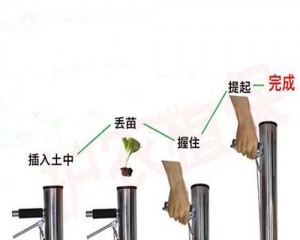 New Vegetable Planter, Vegetable Transplanter for Sale