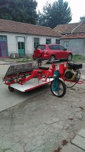 6rows, 8rows Riding Rice Transplanter, 2z-8238 Automatic Paddy Seeder, 2z-6300 Rice Transplanter, Paddy Transplanter