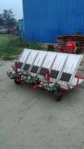 6rows, 8rows Riding Rice Transplanter, 2z-8238 Automatic Paddy Seeder, 2z-6300 Rice Transplanter, Paddy Transplanter