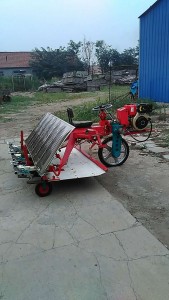 6rows, 8rows Riding Rice Transplanter, 2z-8238 Automatic Paddy Seeder, 2z-6300 Rice Transplanter, Paddy Transplanter