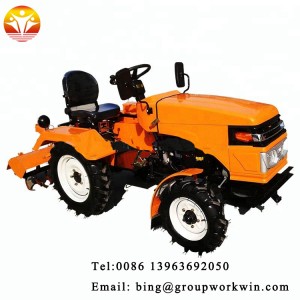China Agricultural Mini Cheap Price