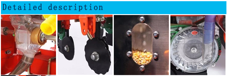 1544683201486015.jpg 玉米细节 .jpg