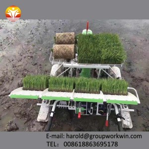 Agricultural rice transplanter