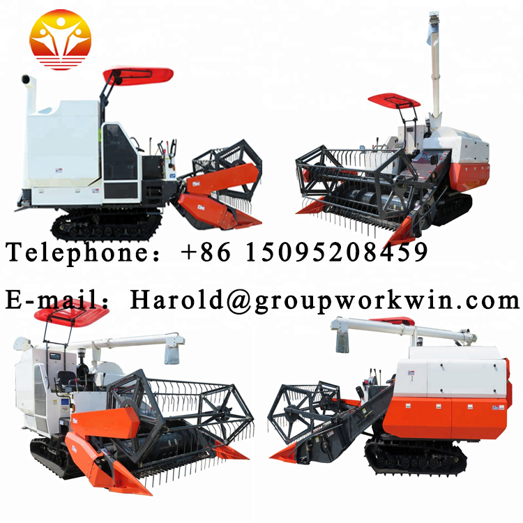 1544581503722584.jpg 5.jpg