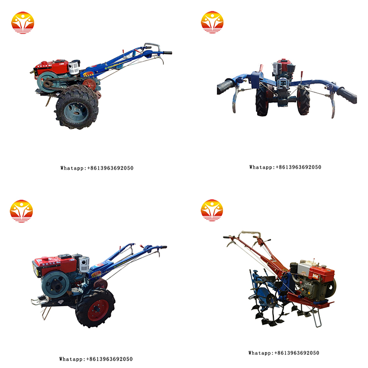 1545809698857123.jpg 172tzt.jpg