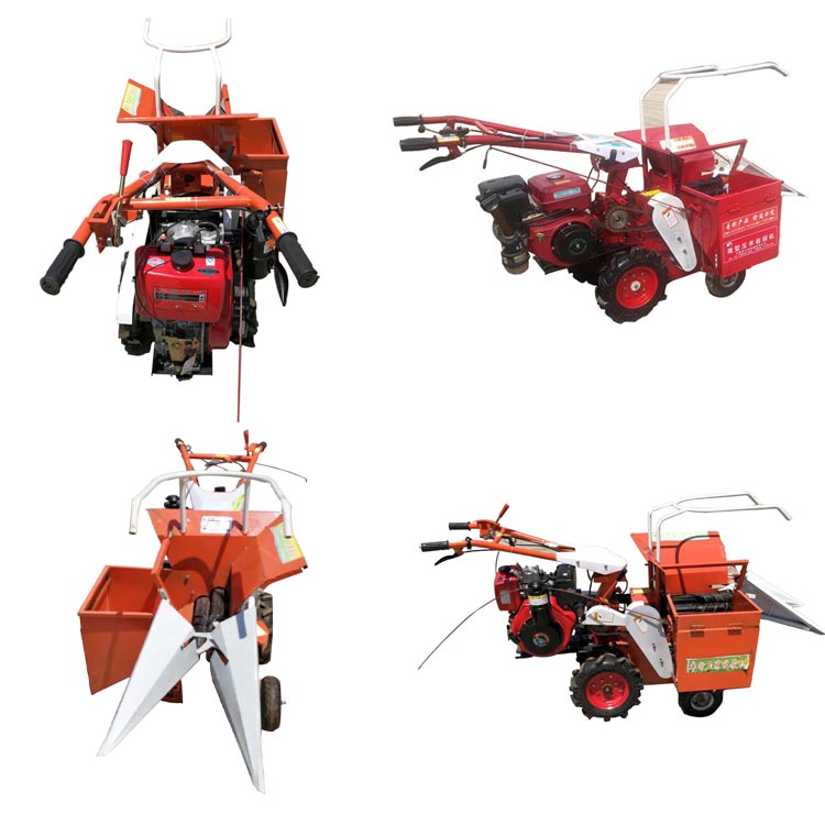 1545704090686525.jpg 收割4图.jpg