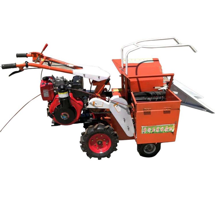 1545704169362104.jpg 收割02.jpg