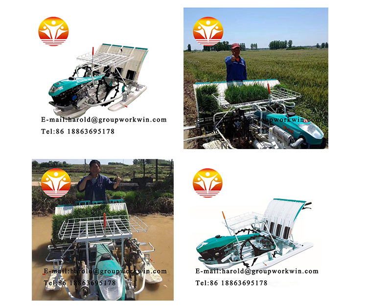 1545201436532120.jpg 第一张大图.jpg