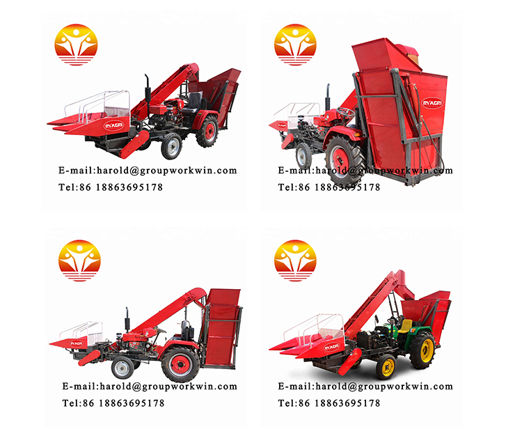 1545363382581747.jpg 第一张大图.jpg