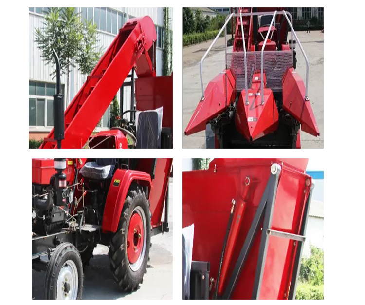 1545365905978171.jpg 细节图.jpg