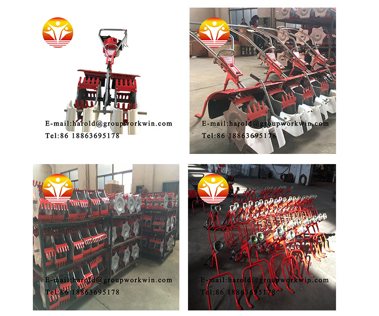 1545617537343916.jpg 第一张大图.jpg