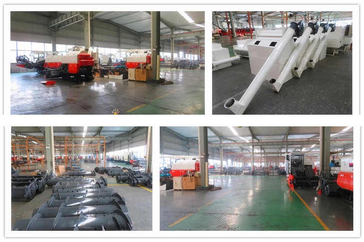 1545621194868268.jpg 7.jpg