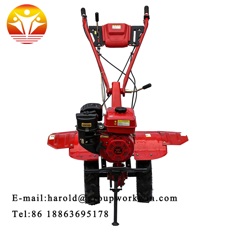 1545704916259910.jpg 1.jpg