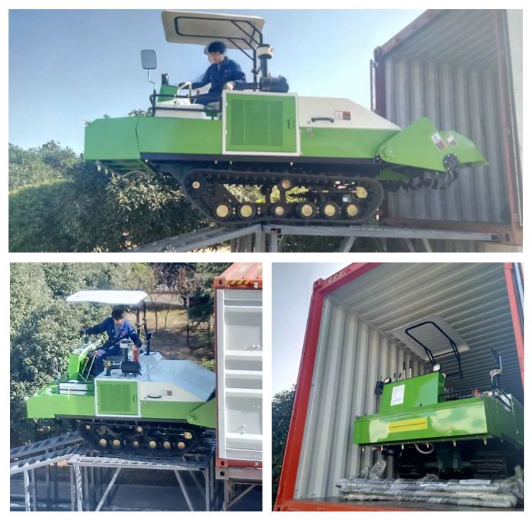 1545788728960942.jpg 7.jpg