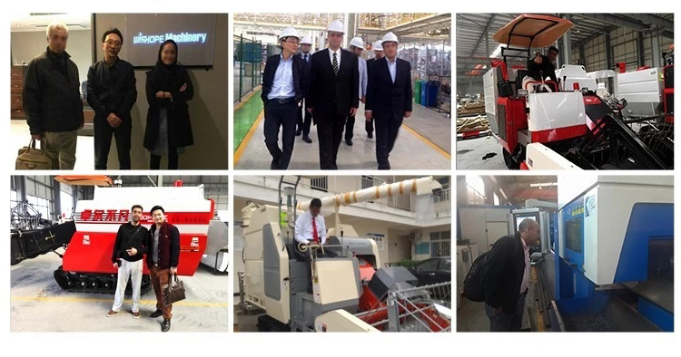 1545804316908086.jpg 8.jpg