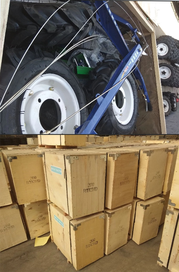 1545809166487910.jpg walkingbao.jpg