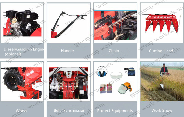 1545014654657176.jpg 细节.jpg