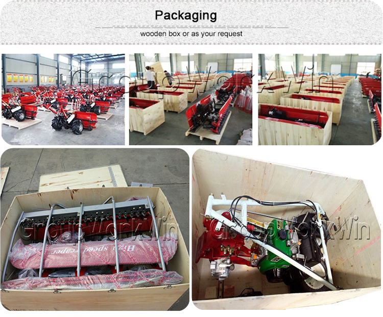 1545014715140958.jpg 包装.jpg