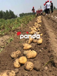 20-35 HP tractor mounted potato harvester