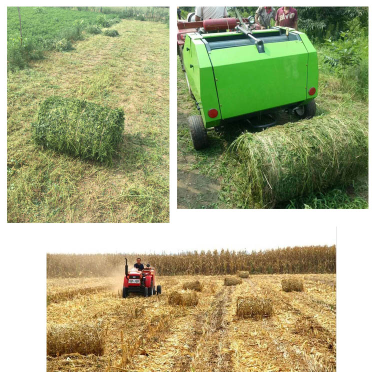 1543831683850317.jpg 2.jpg