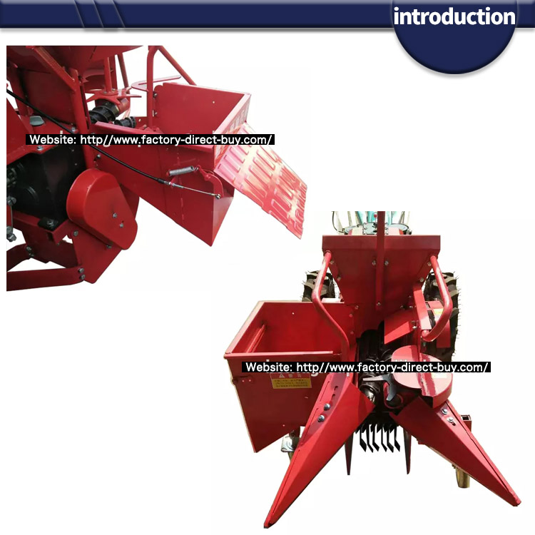 1546525755981570.jpg introduction1.jpg