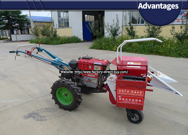 1546525805132735.jpg Advantages1.jpg