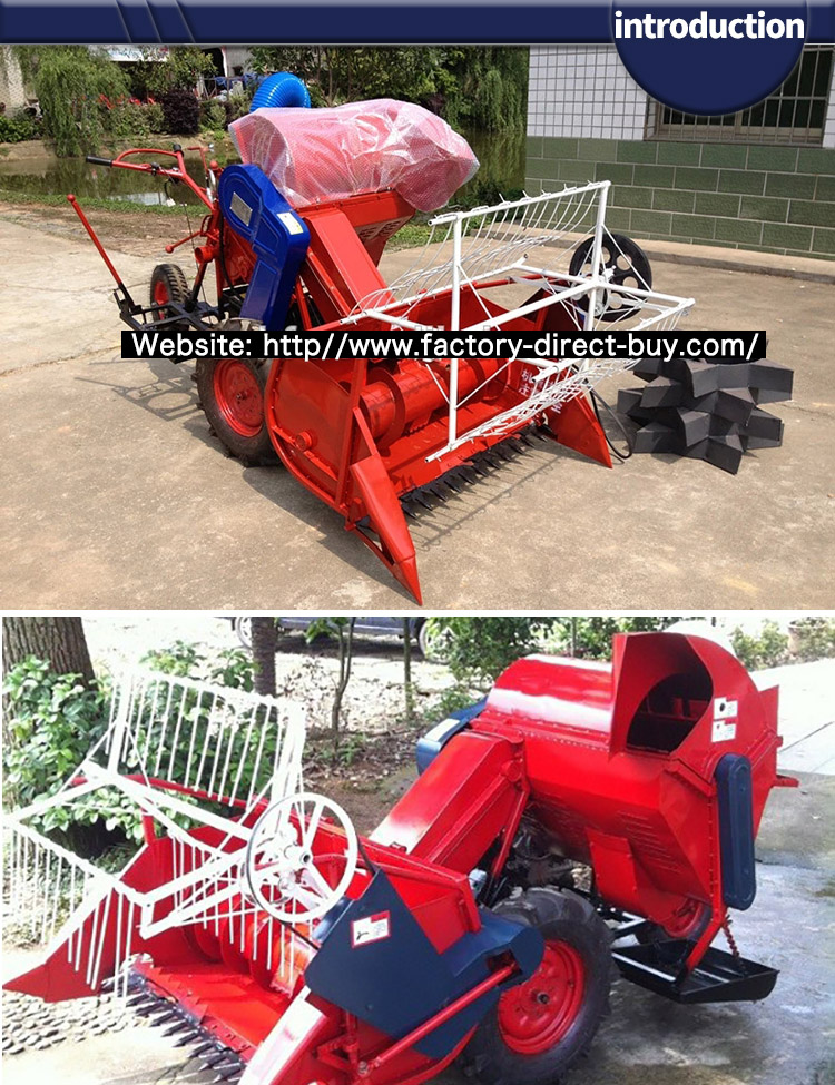 1546527207464471.jpg introduction2.jpg