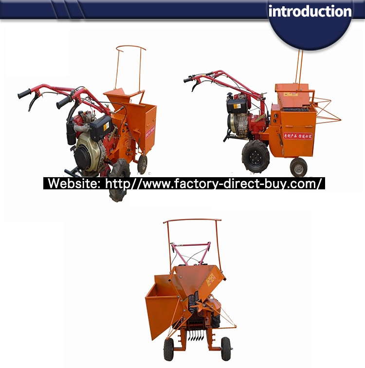 1546582448628278.jpg introduction4.jpg