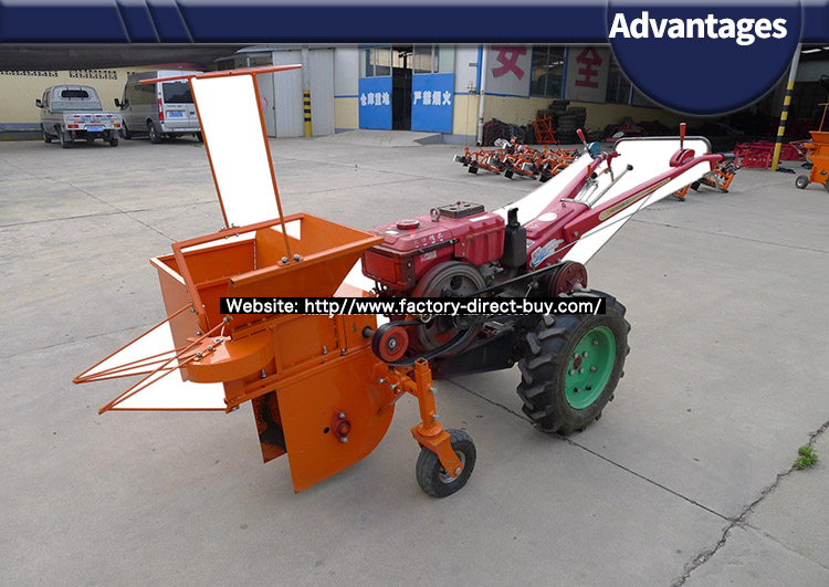 1546582474821111.jpg Advantages4.jpg