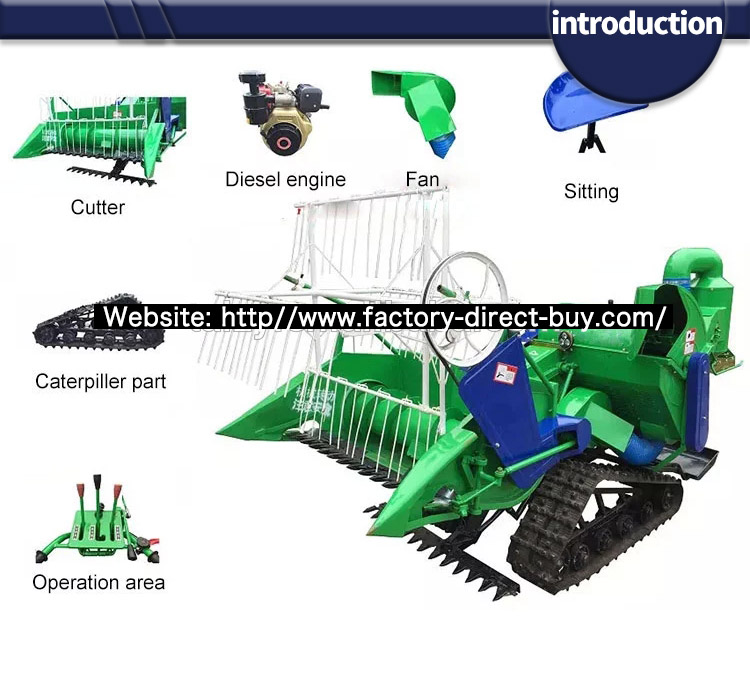 1546583197633002.jpg introduction3.jpg