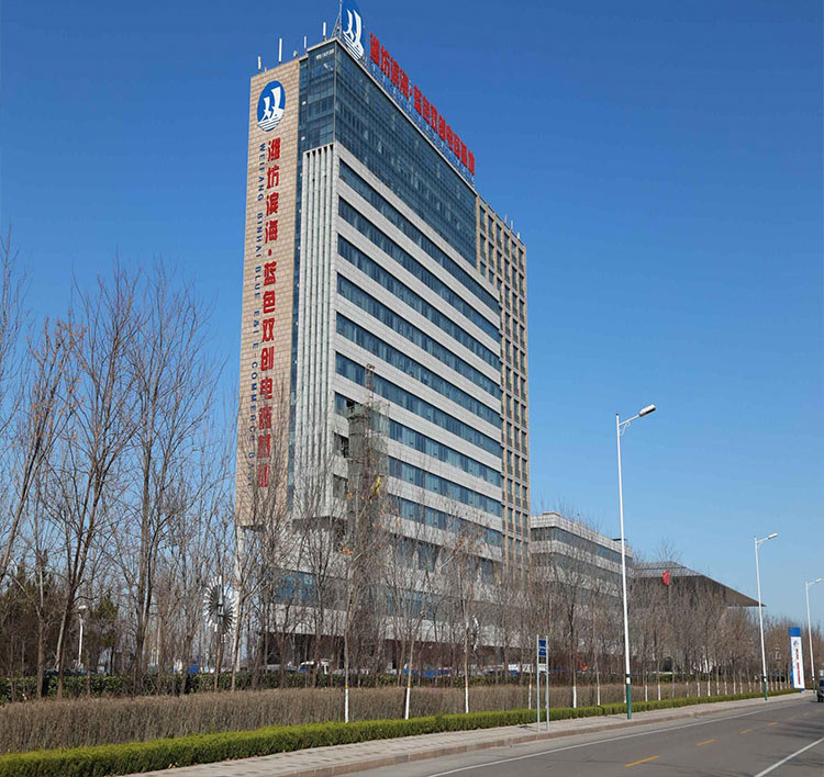 1546587752241556.jpg 9.jpg