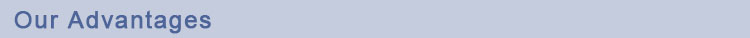 1545289875357127.jpg our advantages.jpg