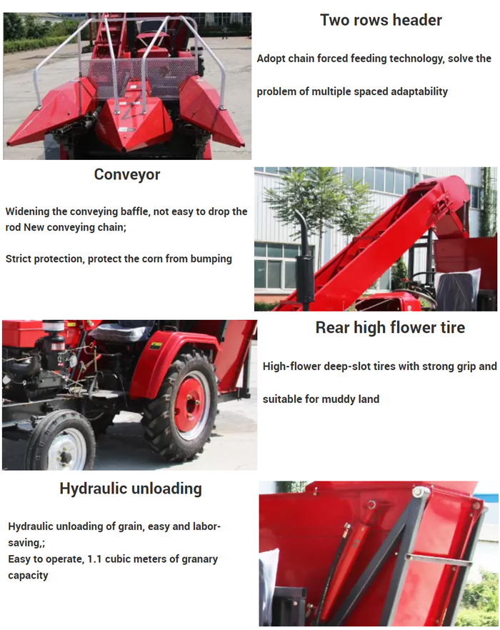 1545632075134109.jpg Detailed Images.jpg