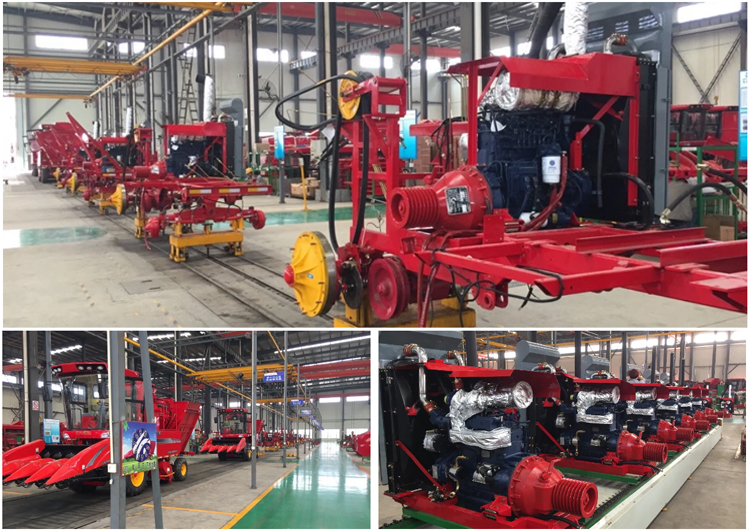 1545632106119261.jpg our factory.jpg