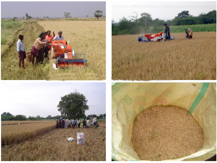 1545715907968936.jpg applications.jpg