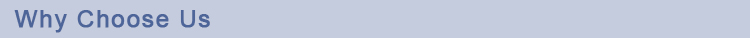 1545716457461160.jpg Why Choose Us.jpg