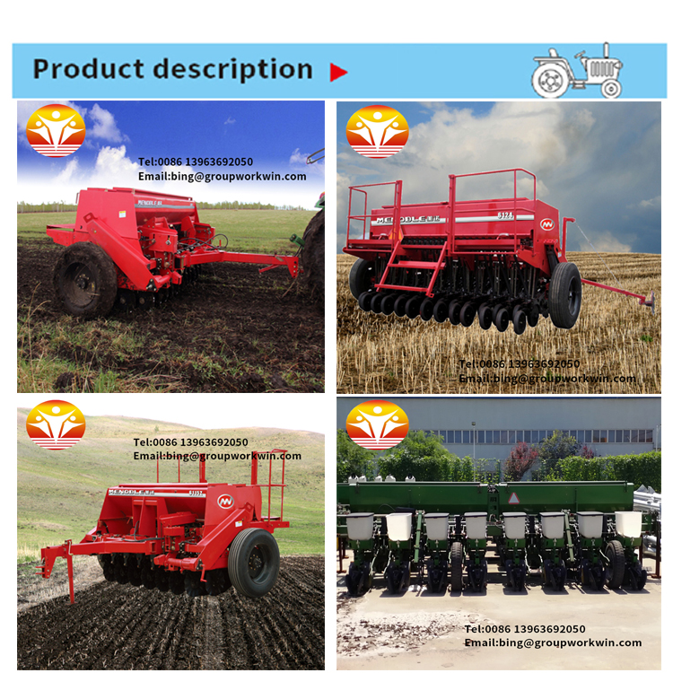 1545636817828520.jpg 13.jpg