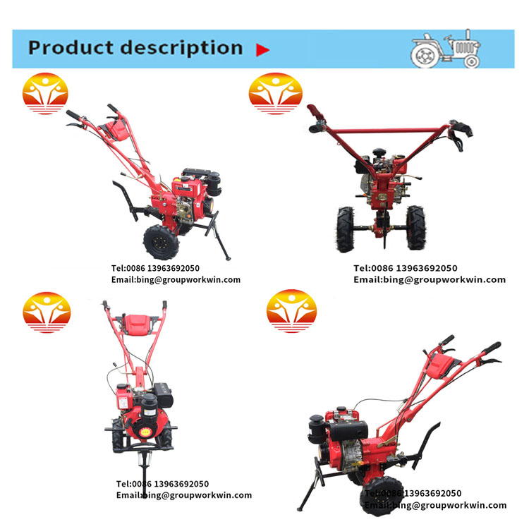 1545716215478451.jpg 12.jpg