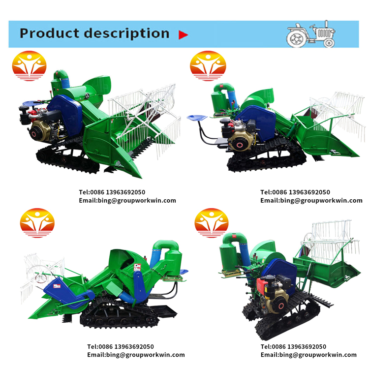 1545720137476127.jpg 25.jpg