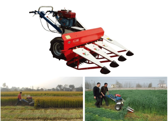 1545635394356407.png image.png