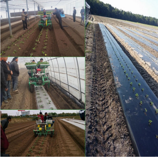 1545967441355534.png image.png